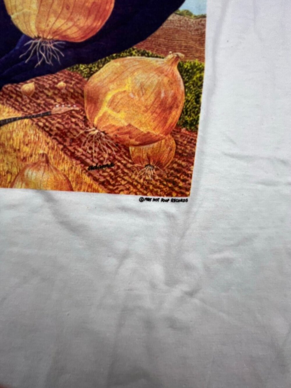 Vintage Walla Walla Homegrown T Shirt Hot Poop Records 80s Band Music Tee Large - Picture 3 of 11